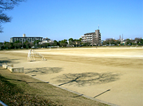 中央公園スポーツ広場