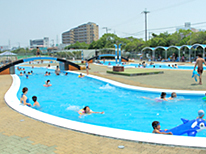 中央公園プール